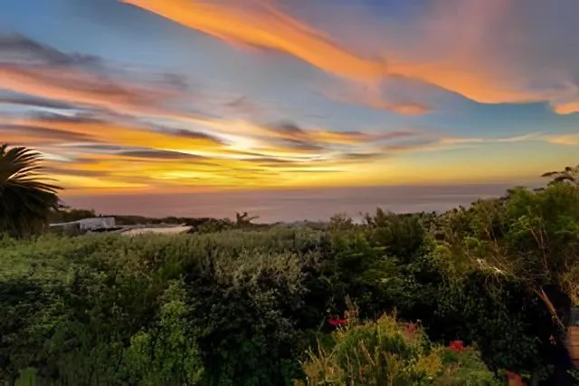 Cape Rose Cottage - Penthouse In Camps Bay Κέιπ Τάουν
