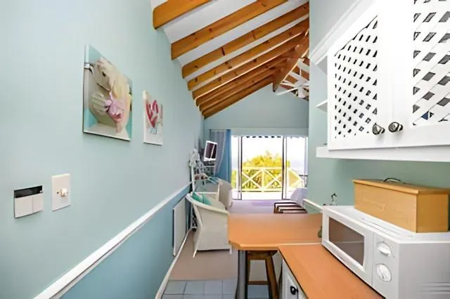 Cape Rose Cottage - Penthouse In Camps Bay Κέιπ Τάουν Πανσιόν