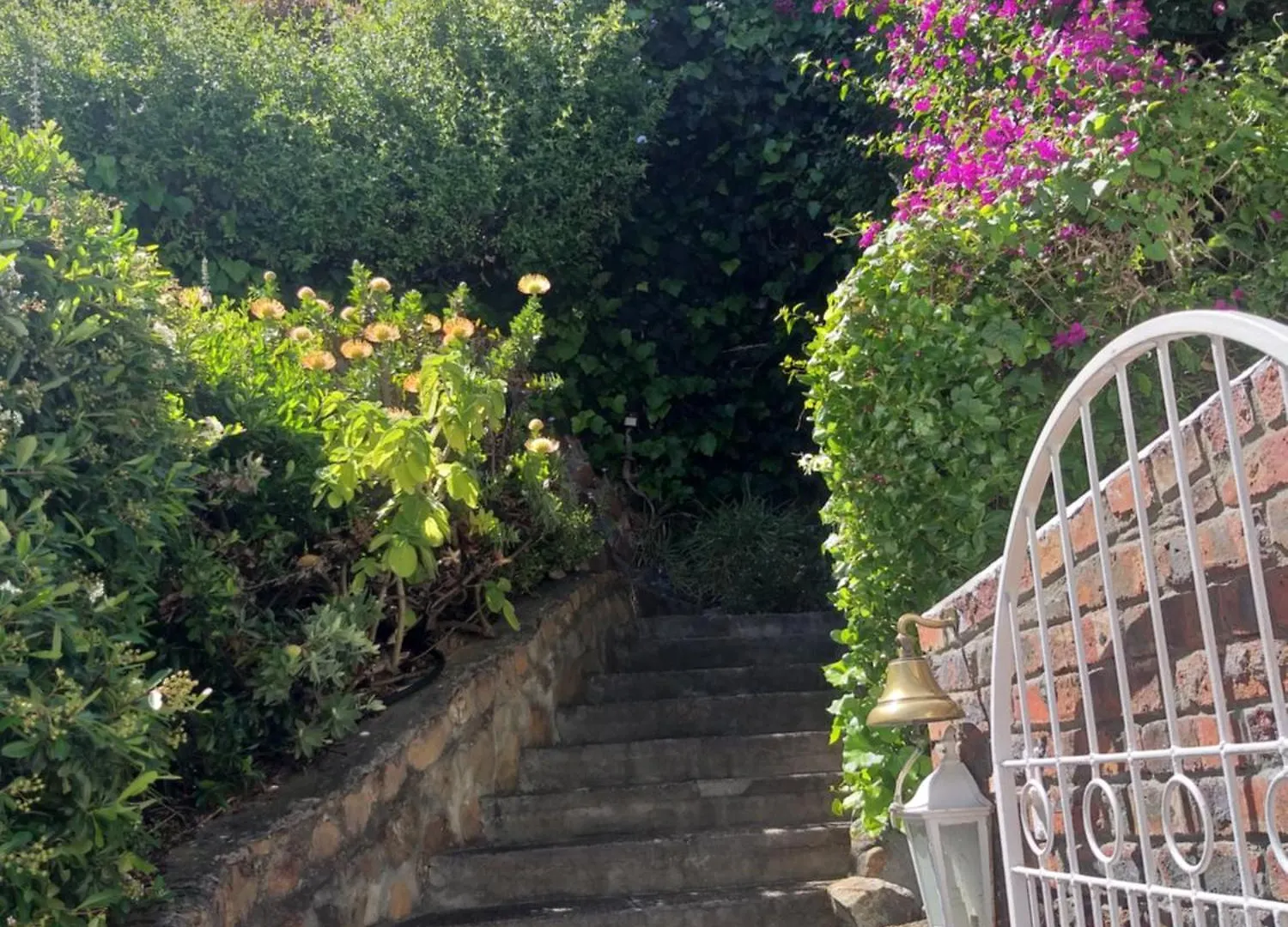 Cape Rose Cottage - Penthouse In Camps Bay Κέιπ Τάουν Πανσιόν