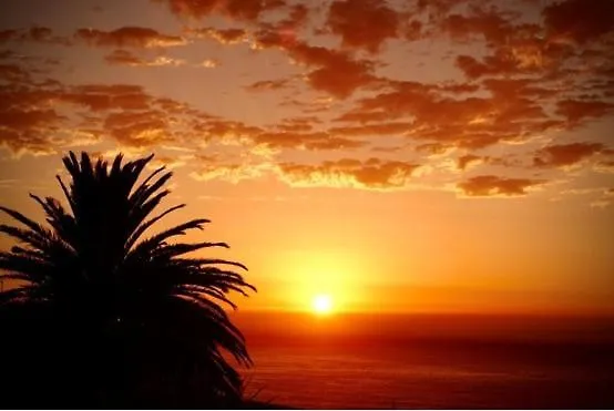 Πανσιόν Cape Rose Cottage - Penthouse In Camps Bay Κέιπ Τάουν